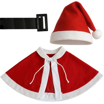 7. Mrs. Claus Costume with Cape