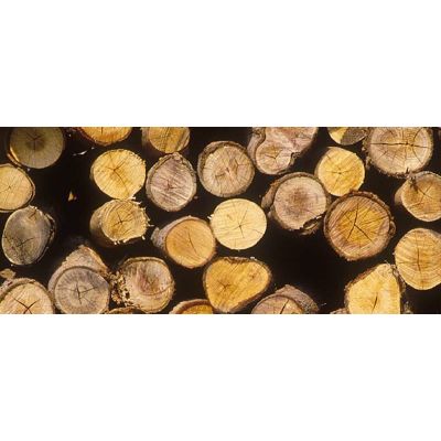 2. Einhell GE-LC 18/25-1 Li Kit Black, Red