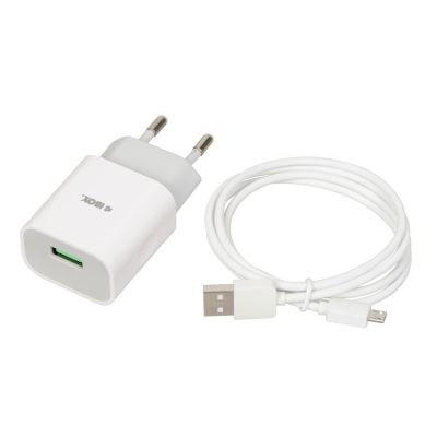 2. iBOX C-41 USB 2A wall charger, 1 USB port, microUSB cable