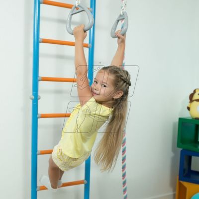 16. Wallbarz Family EG-W-056 gymnastic ladder