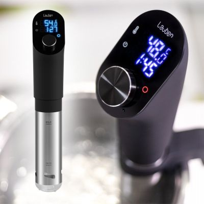 2. Lauben Sous Vide Stick SV01 Immersion Circulator