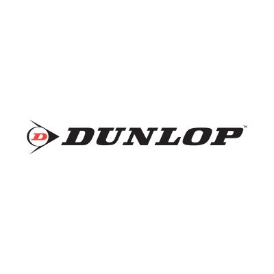 7. Football goal with net 300x200x110 cm Allround Dunlop - 0666