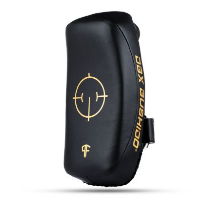 9. PAO Gold Thai Shields pair | ProFighter | DBX Bushido