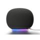 Google Home Gray