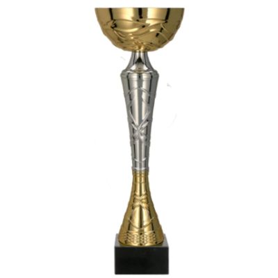 6. TUMA S gold-silver metal cup