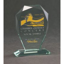 Engraved glass trophy with case + paint filling