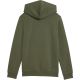 3. Puma ESS Small No. 1 Logo Centered Hoodie for Kids Khaki 692976 86