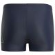2. adidas Performance Big Bars Swim Jr IT2693 swim shorts
