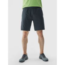 Men's 4F quick-drying regular training shorts 4FWAW24TFSHM697-22M