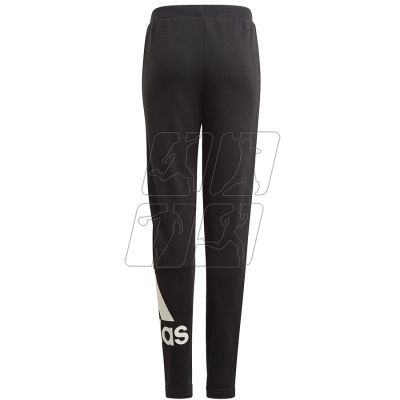 3. Pants adidas BL FT O PT Jr GN4064