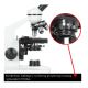 7. Delta Optical BioStage II microscope