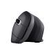 9. TRUST Verro Ergonomic Wireless Mouse