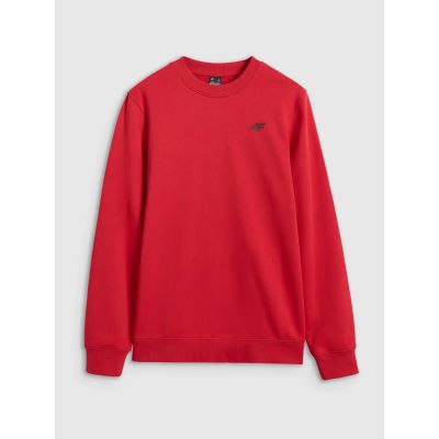 6. Men's sweatshirt without zipper, without hood, 4F 4FWMM00TSWSM1767-062S