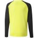 4. Puma teamPacer GK LS Jersey Jr 704939 42