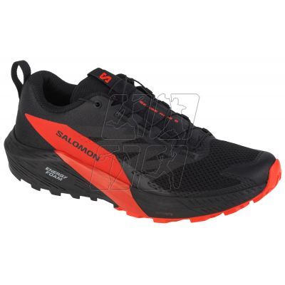 5. Shoes Salomon Sense Ride 5 M 472143