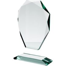 Glass trophy with case