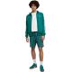 5. Puma Class 8 men's shorts green 692355 41