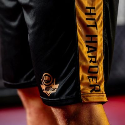 5. GOLD training boxing shorts