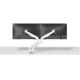 3. Neomounts DS70-250WH2 Monitor Holder/Stand for 81.3 cm (32") Monitors, Desk, White