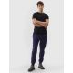 6. Pants 4F M 4FWSS24TTROM646-31S