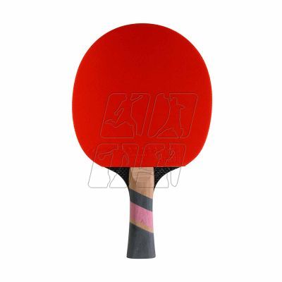 10. Conrilleau Excell Carbon 3000 table tennis bats