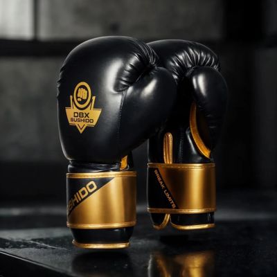 16. 10oz Boxing Gloves - Infinity - Origin Series