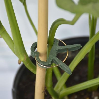 8. PLANT CLIPS 20 PCS PROGARDEN