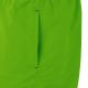 5. Swimming shorts Crowell M 300/400 green
