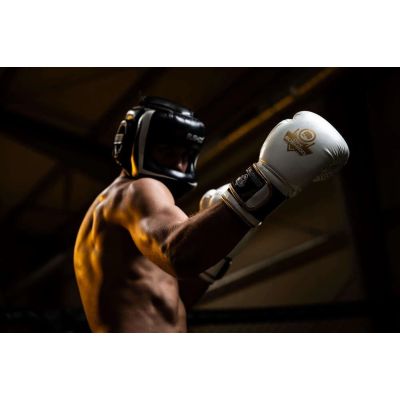 3. 10oz Boxing Gloves - Spirit - Valor Series