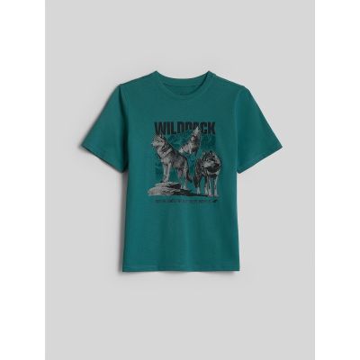 5. Boy's regular printed T-shirt 4F 4FJKAW26TTSHM4455-46S