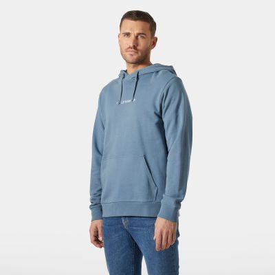 3. Helly Hansen Men's CORE HOODIE 54525 601