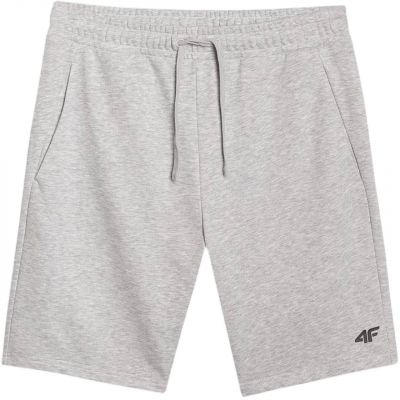 4. Shorts 4F CAS M543 M 4FWMM00TSHOM543 27M