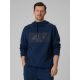 Men's regular hooded sweatshirt 4F 4FRSS26TSWSM2975-20S