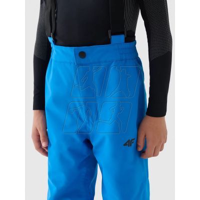 4. Ski pants 4F Jr 4FJWAW24TFTRM654-33S