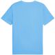 2. Puma Ess No.1 Logo Tee (s) M 682533 57