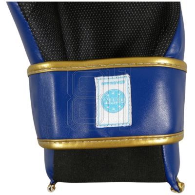 45. ROSM-MASTERS Open Gloves (WAKO APPROVED) 01559-02M