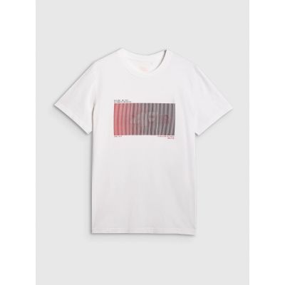 8. Men's regular printed T-shirt 4F 4FRAW25TTSHM3224-10S