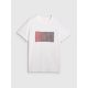 8. Men's regular printed T-shirt 4F 4FRAW25TTSHM3224-10S