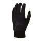 Nike Jordan Therma Sphere J0003593-980 gloves