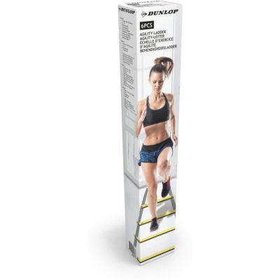17. DUNLOP ADJUSTABLE 4M ACTIVITY LADDER