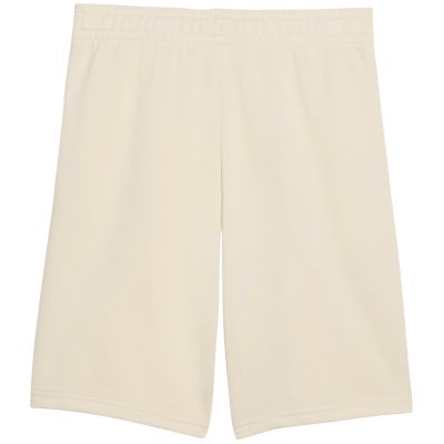3. Puma ESS Small No. 1 Logo Beige Kids Shorts 692974 87