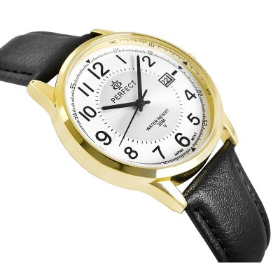 2. PERFECT C710T-09 Men's Watch
