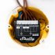 12. Shelly Qubino Wave 2PM Dual-Channel Z-Wave Controller