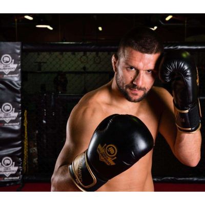 2. 10oz Boxing Gloves - Infinity - Origin Series