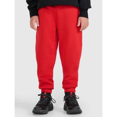 2. Boys' jogger sweatpants 4F 4FJRAW25TTROM1634-62S
