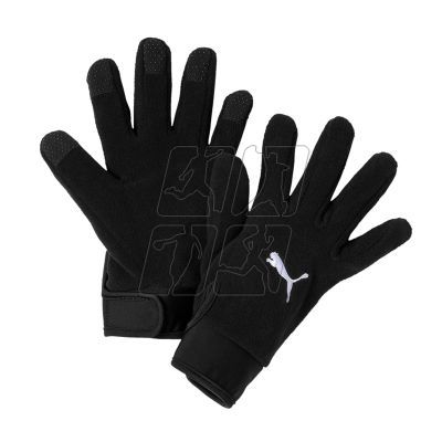 Gloves Puma teamLiga 21 Winter Gloves M 041706-01