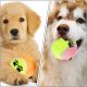 21. TENNIS BALL FOR DOGS 5 PCS