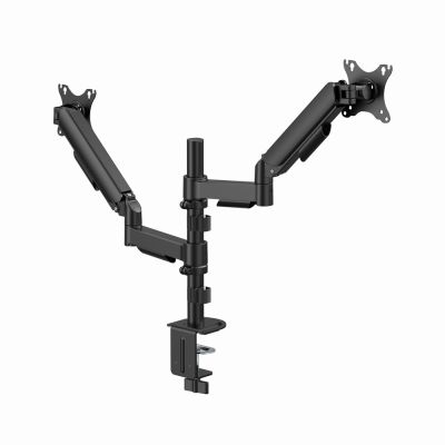 2. GEMBIRD DESK ADJUSTABLE ARM/MOUNT FOR TWO MONITORS FROM 17" TO 32", LOAD UP TO 9 KG