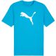 3. Puma Team Rise Logo Jersey Cotton M 658705 02