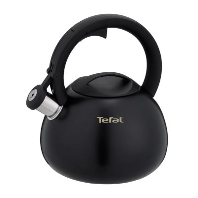 TEFAL N4180410 non-electric kettle